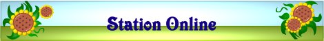 station_online station_online